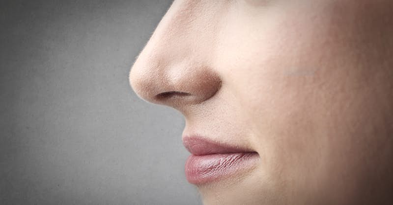 Does Your Nose Contain A Hidden Longevity Secret? about false