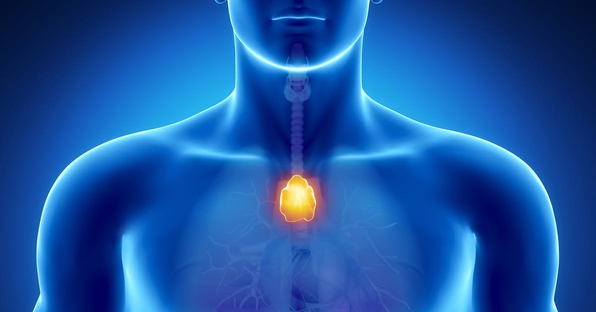 Revive a Flagging Thymus Gland and Extend Your Life as Much as 30 Years about undefined