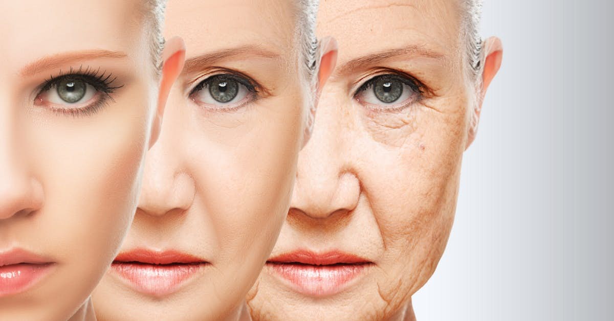 Rejuvenating “Old” Blood Reverses Aging about undefined