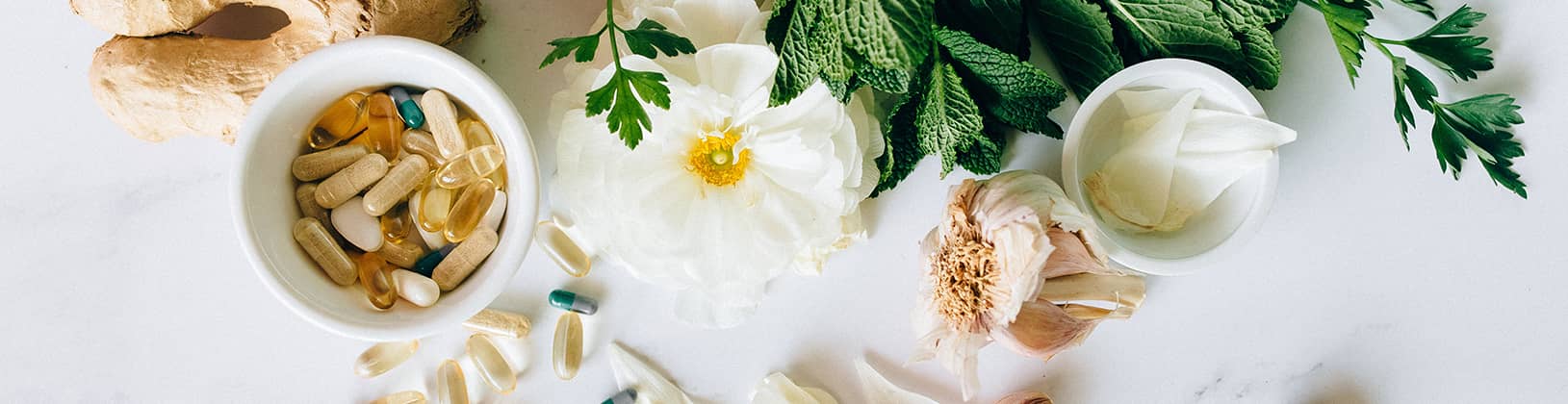 Aging Defeated About Us