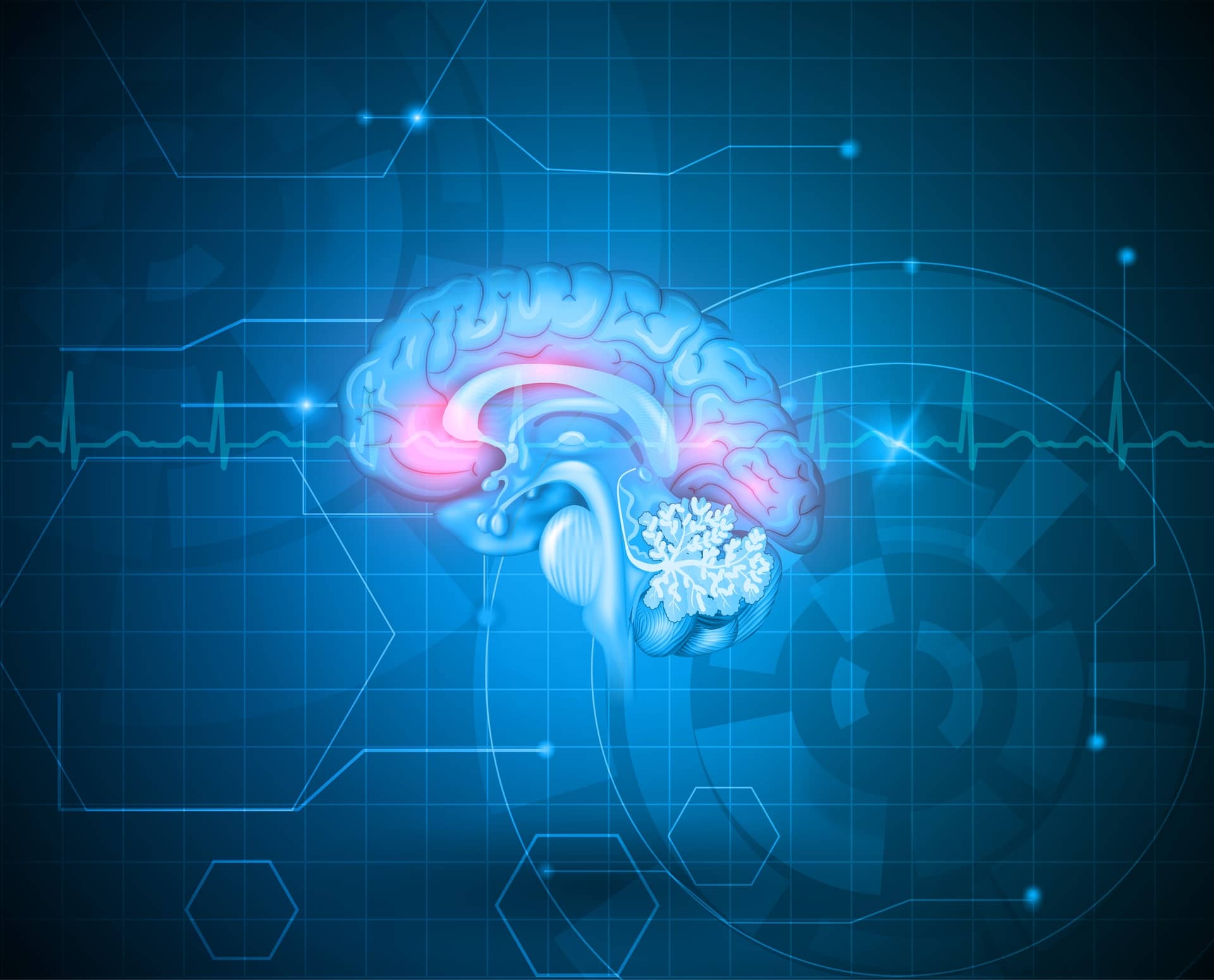 Specific Area of the Brain Holds the Key to Aging about undefined