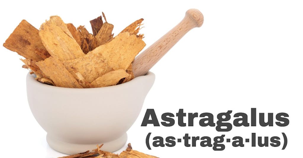 Astragalus: The Herb at the Root of Anti-Aging about false