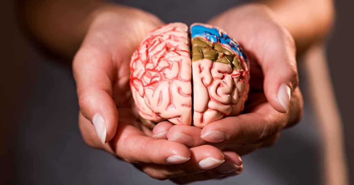 This Part of Your Body May be the Very Heart of the Aging Process about undefined