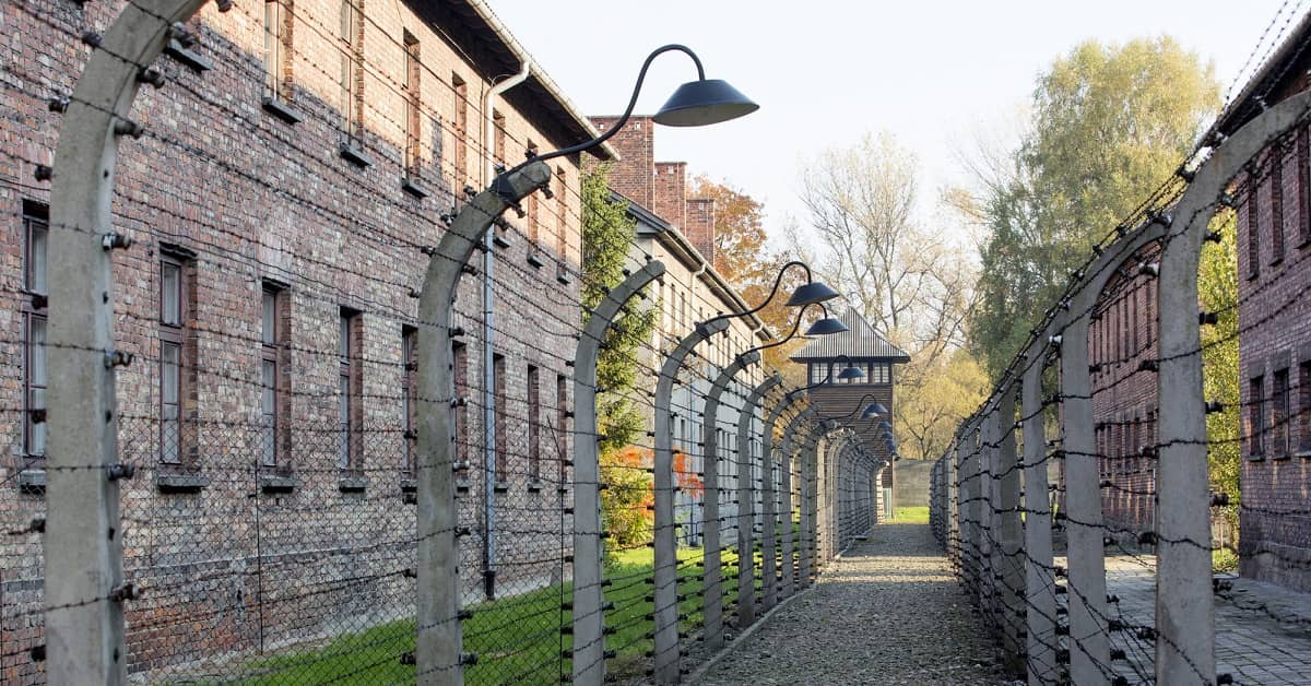 Shocking Discovery: Holocaust Survivors have Longer Life Expectancy. Why? about undefined