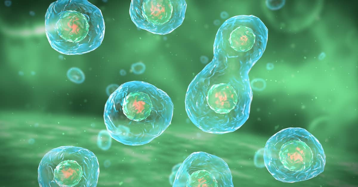 Zapping Zombie Cells Marks a Breakthrough in Treating Age-Related Diseases about undefined