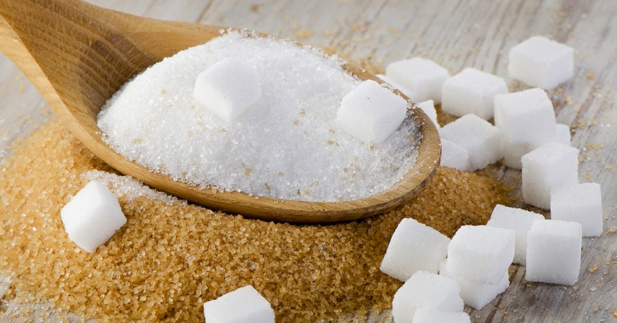 Can Eating Too Much Sugar Shorten Your Life? about undefined