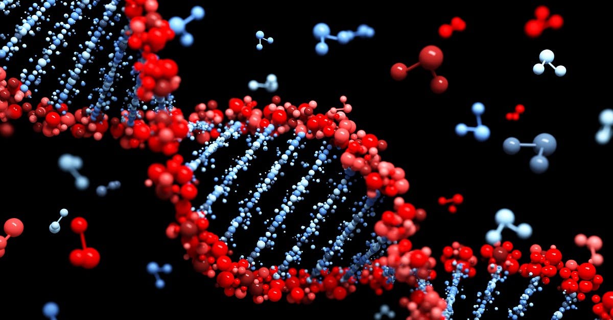 Is Your Life Expectancy Down to Your DNA? about undefined