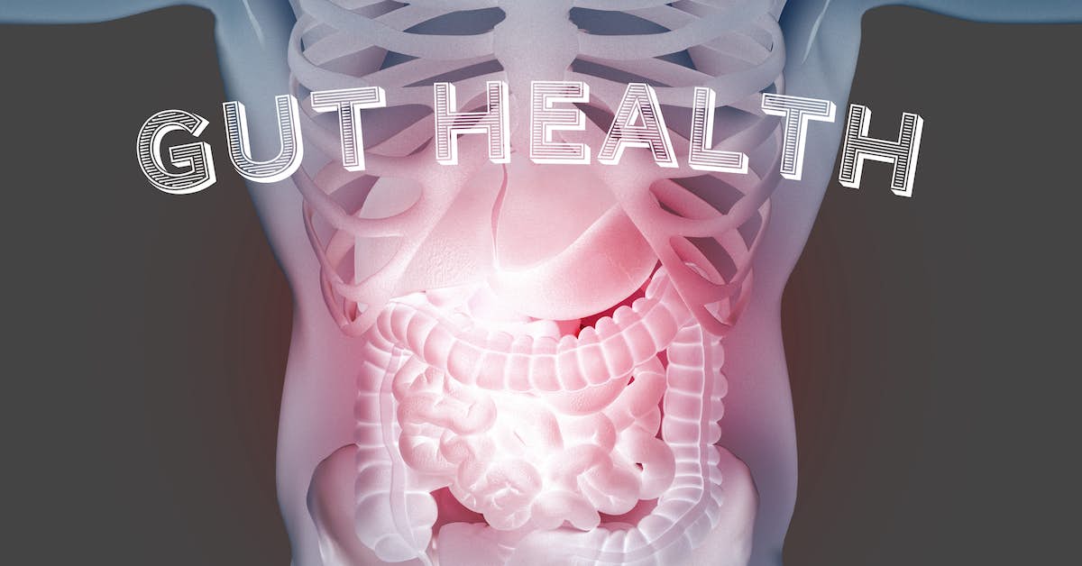 Want More Muscle Strength? Improve Gut Health about undefined