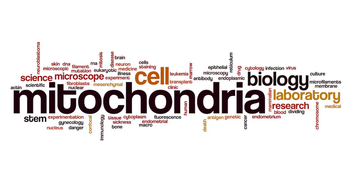 Little-Known Longevity Secret Improves Lifespan 30 percent! about undefined