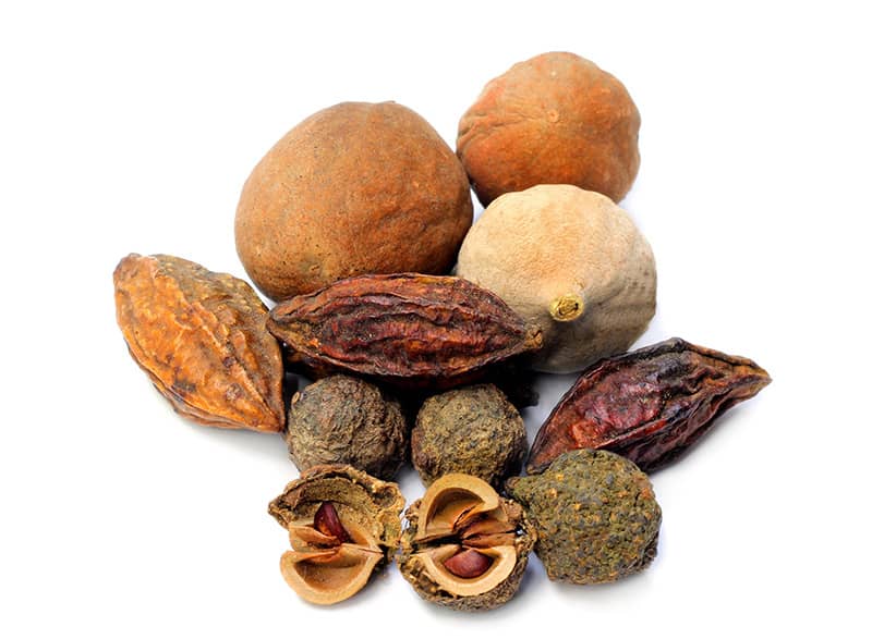 Live Longer With This Ancient Ayurvedic Formula about undefined